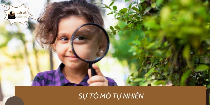 Sự tò mò trong bản năng của mỗi người với những điều chưa được giải mã