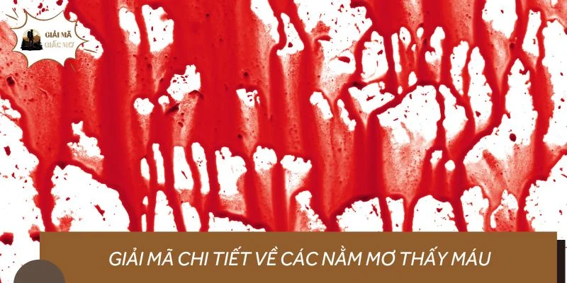 Giải mã chi tiết về các nằm mơ thấy máu