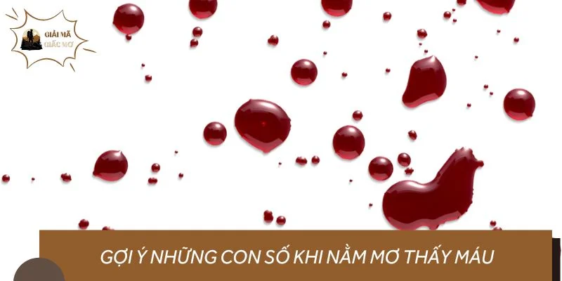 Gợi ý những con số khi nằm mơ thấy máu