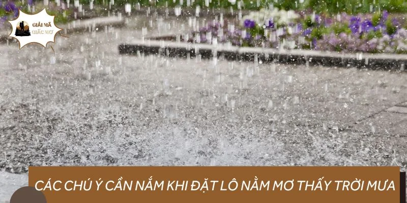 Các chú ý cần nắm khi đặt lô nằm mơ thấy trời mưa