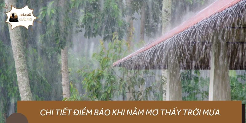 Chi tiết điềm báo khi nằm mơ thấy trời mưa