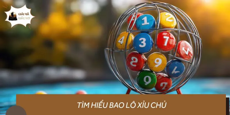 Tìm hiểu bao lô xỉu chủ