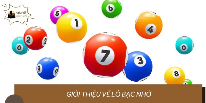 Giới thiệu về lô bạc nhớ