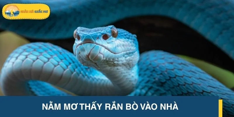 Nằm mơ thấy rắn bò vào nhà