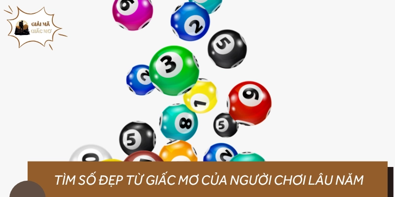 Giải mã giấc mơ đánh con gì? Gợi ý chọn số dễ trúng